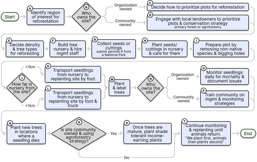 A flowchart of reforestation processes aggregated across multiple organizations