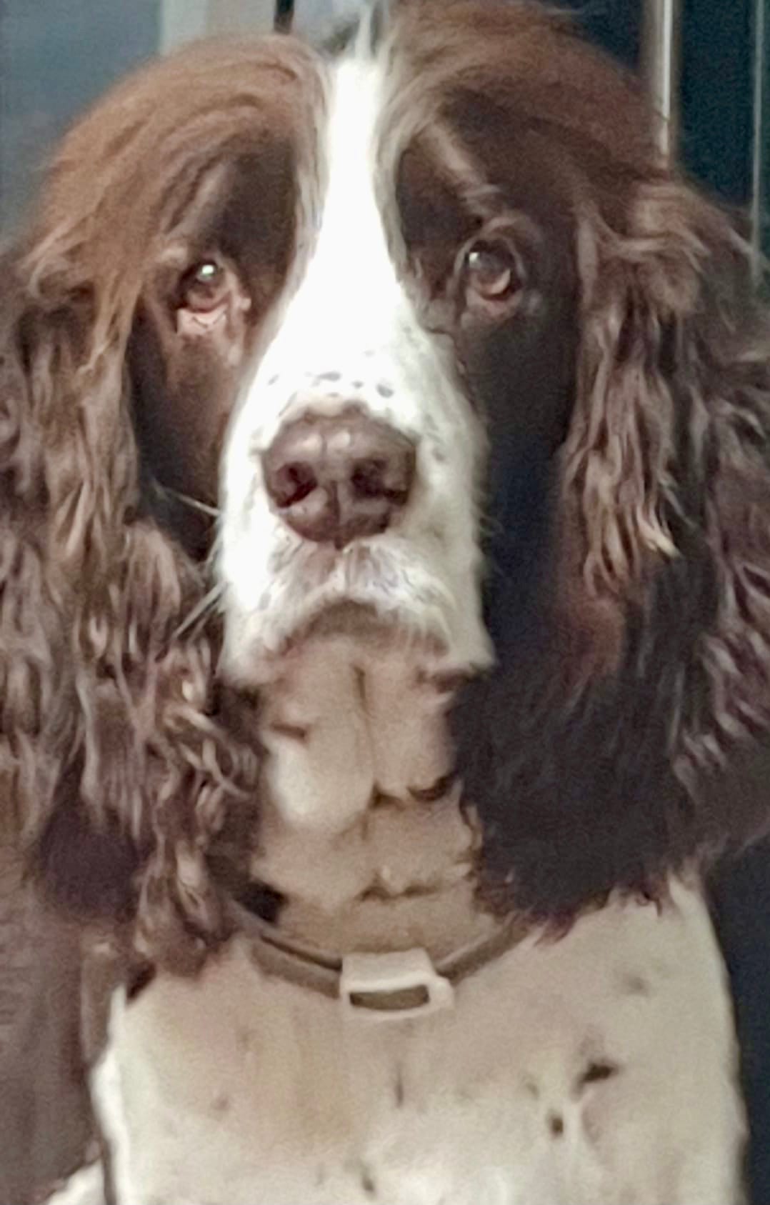 And no, it wasn’t me who greedily gobbled down the first bite