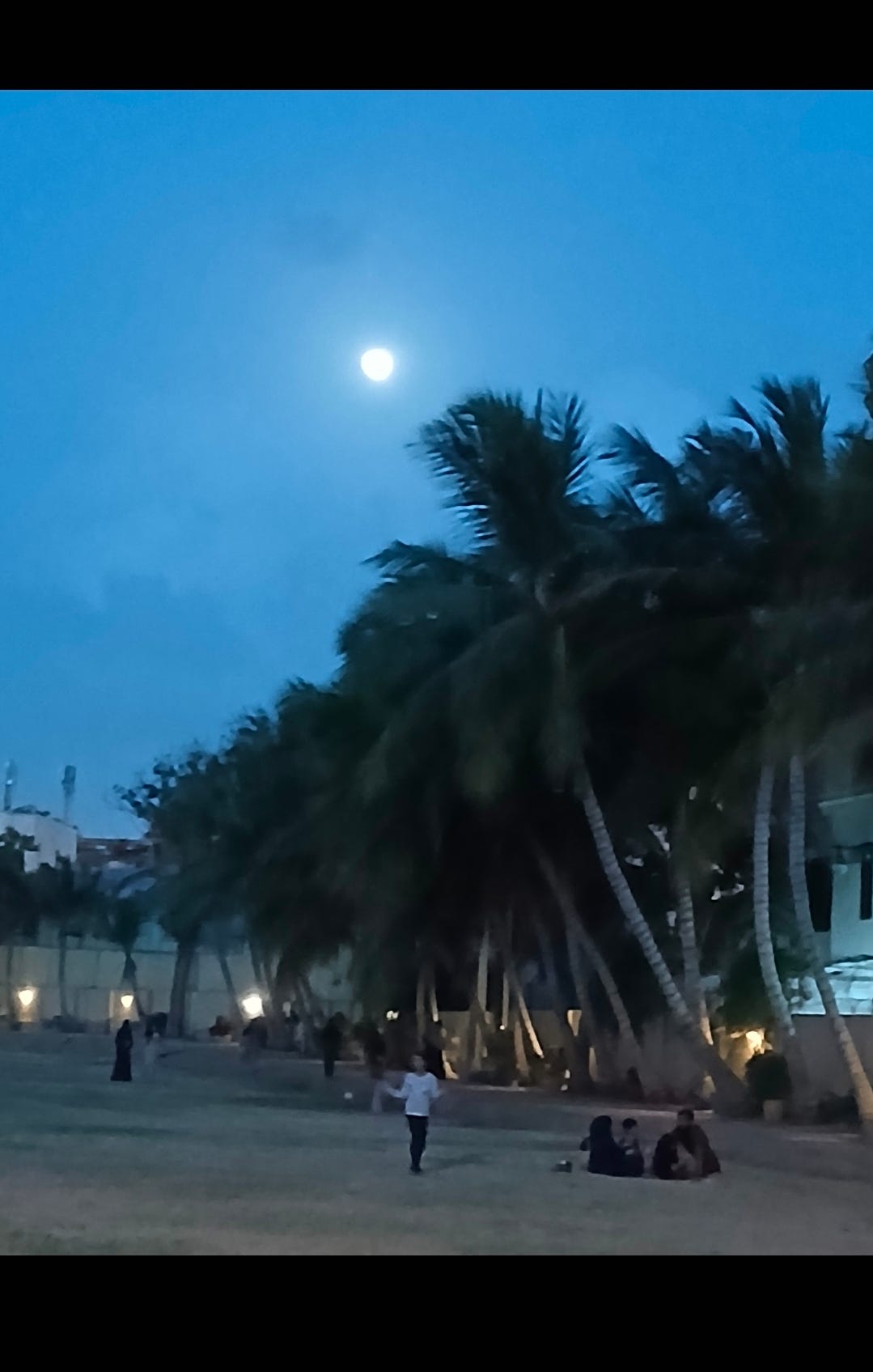 photo taken in the park by the author.