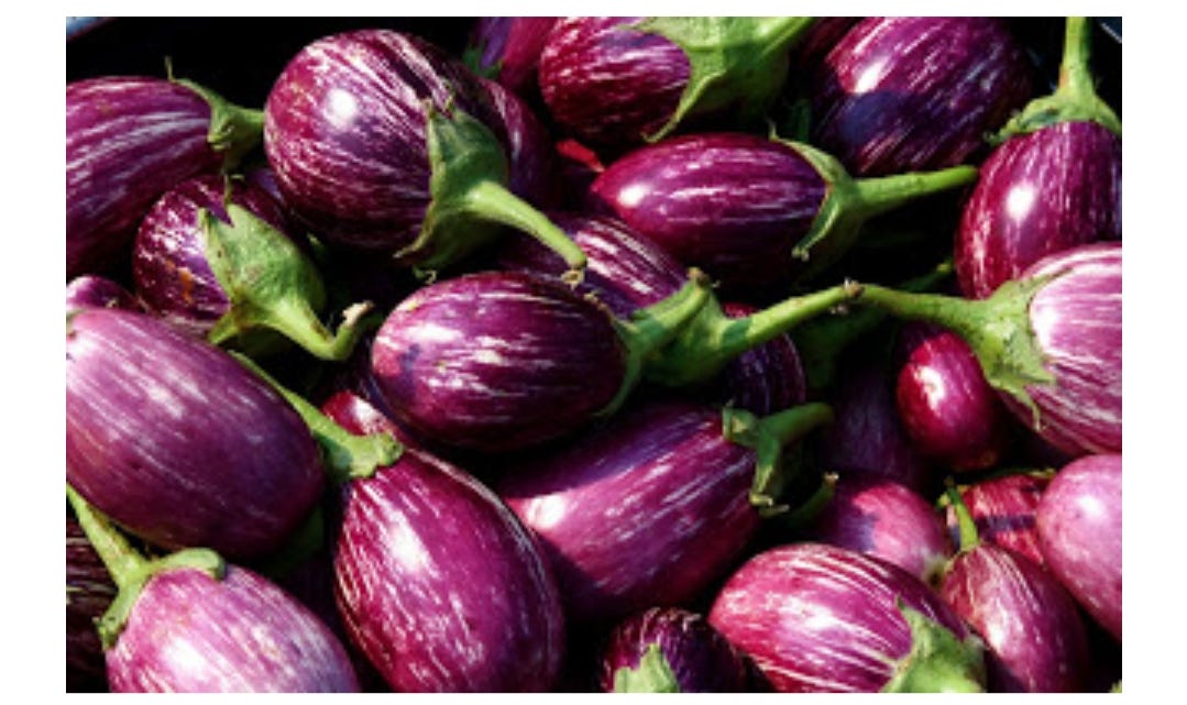 Eggplant nutrition facts and health benefits A popular vegetable plant (Brinjal, eggplant)… by