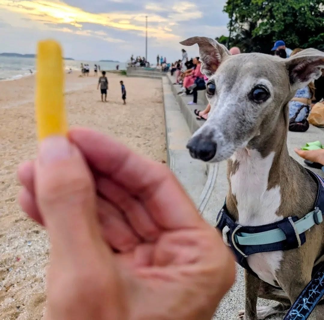 Lola, the french fry Queen