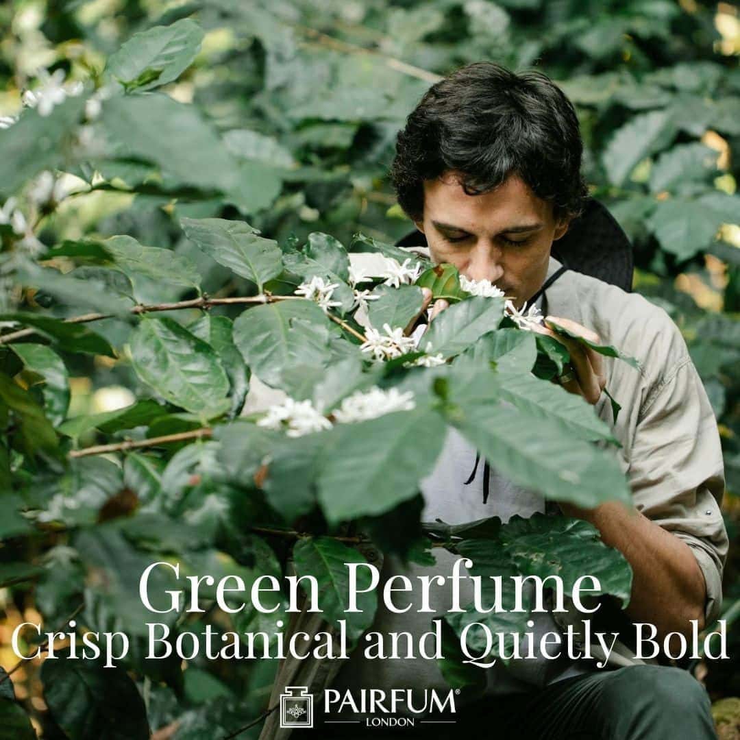 Green Perfume: Crisp Botanical and Quietly Bold
