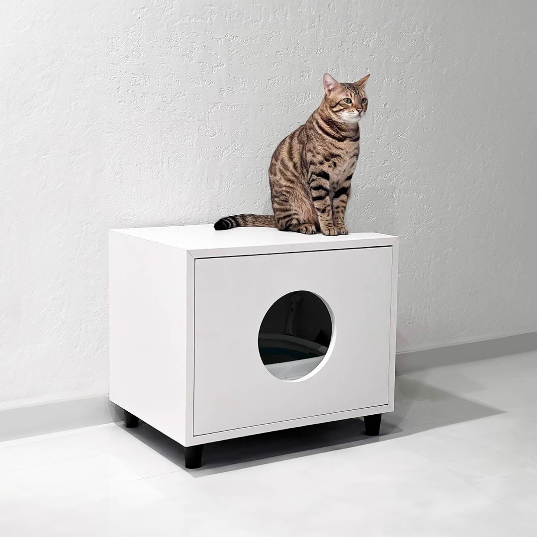 Top Cat Litter Box in India - Sahil Trivedi - Medium