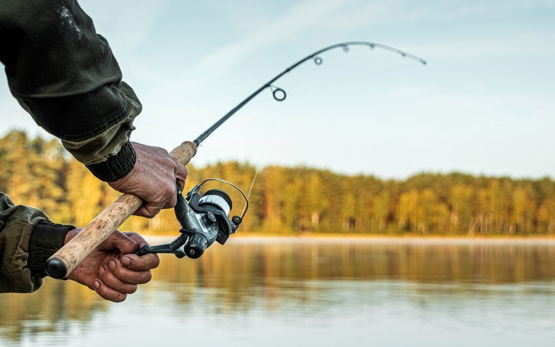 Complete Guide to Fishing in Ottawa: Licenses, Gear & Local Tips