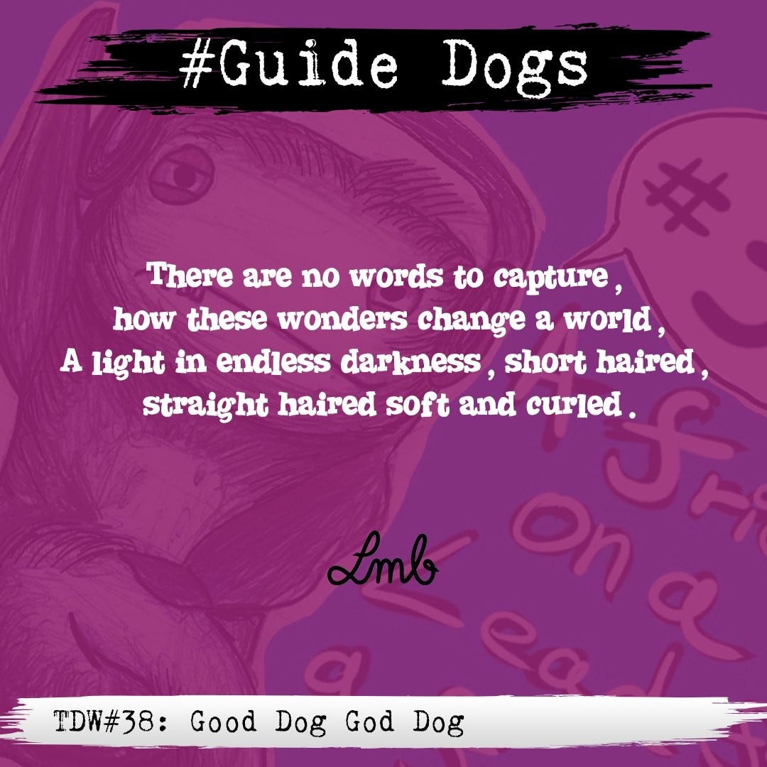 Good Dog God Dog The Daily Wail Medium