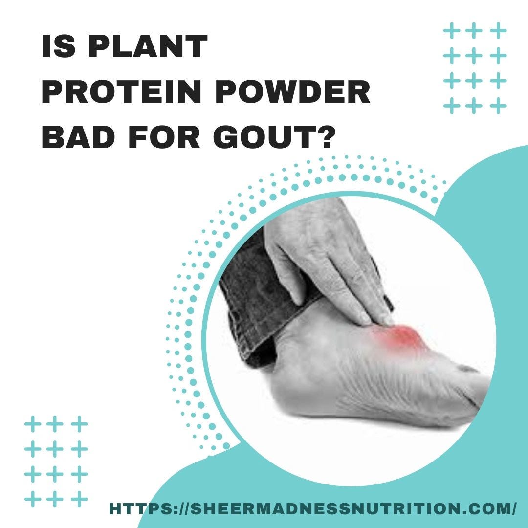 Is plant protein powder bad for gout? by SHEERMADNESS NUTRITION Jul