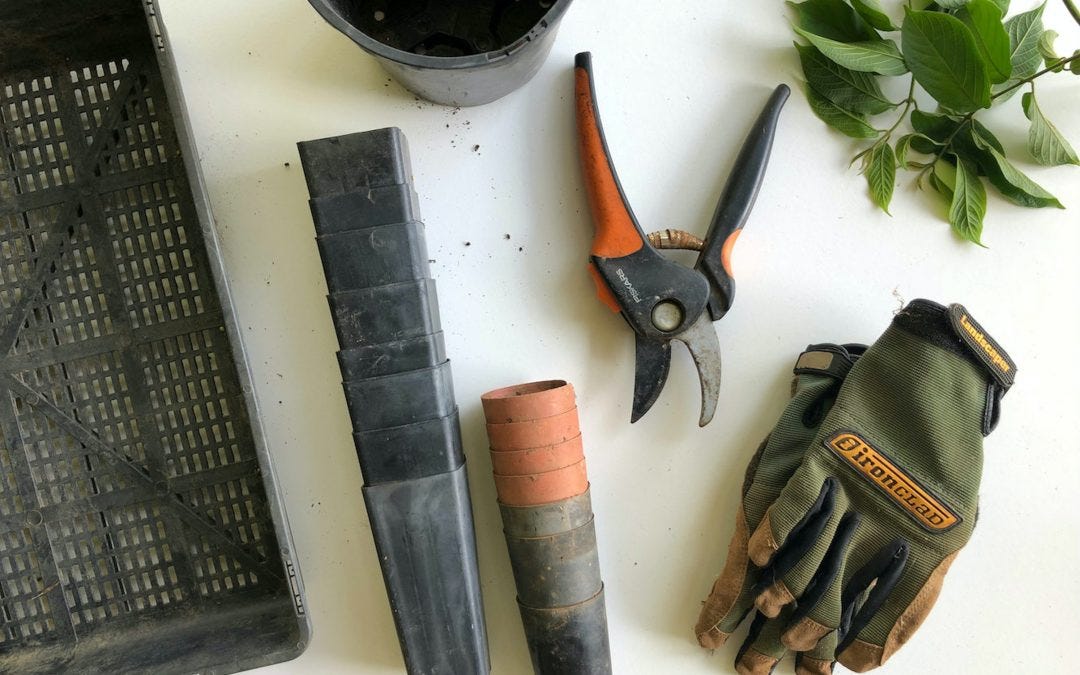 Essential Tools and Equipment for Hydroponic Gardening