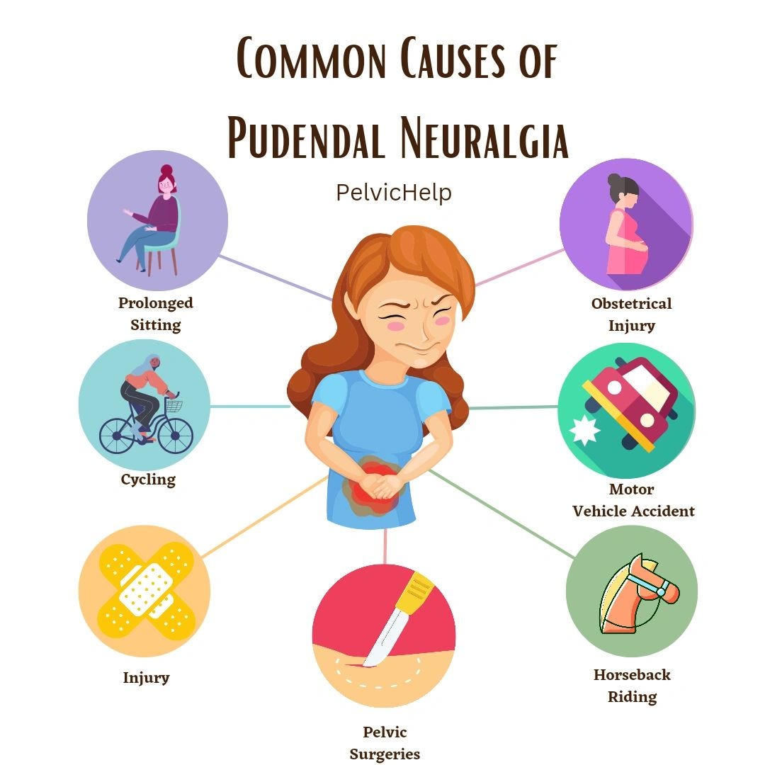 The Forgotten Pudendal Nerve: The Tiny Nerve That Can Turn Sitting into Suffering