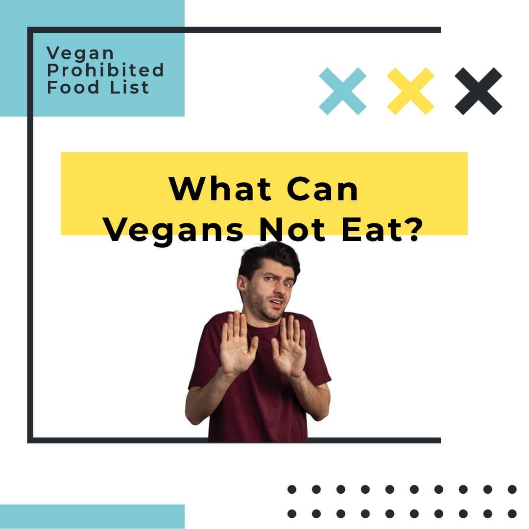 What can vegans not eat? Vegan Prohibited Food List by 🌱VEGi1