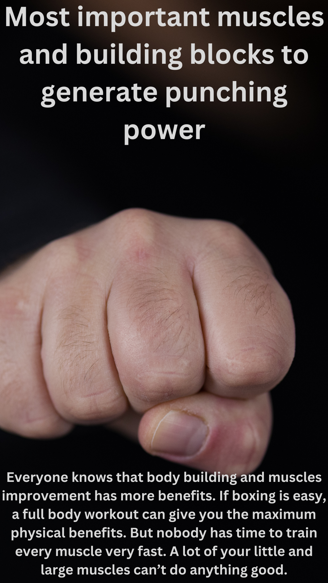 What Are The Most Important Muscles And Building Blocks To Generate