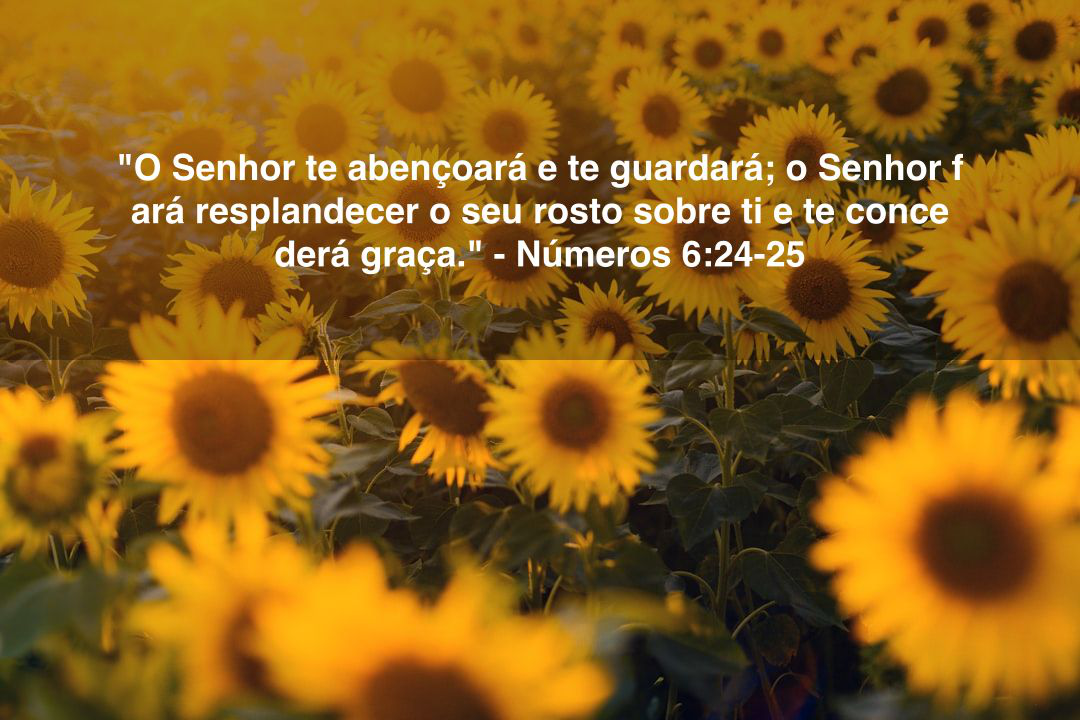 Oração de Nossa Senhora do Desterro para Proteção e Esperança