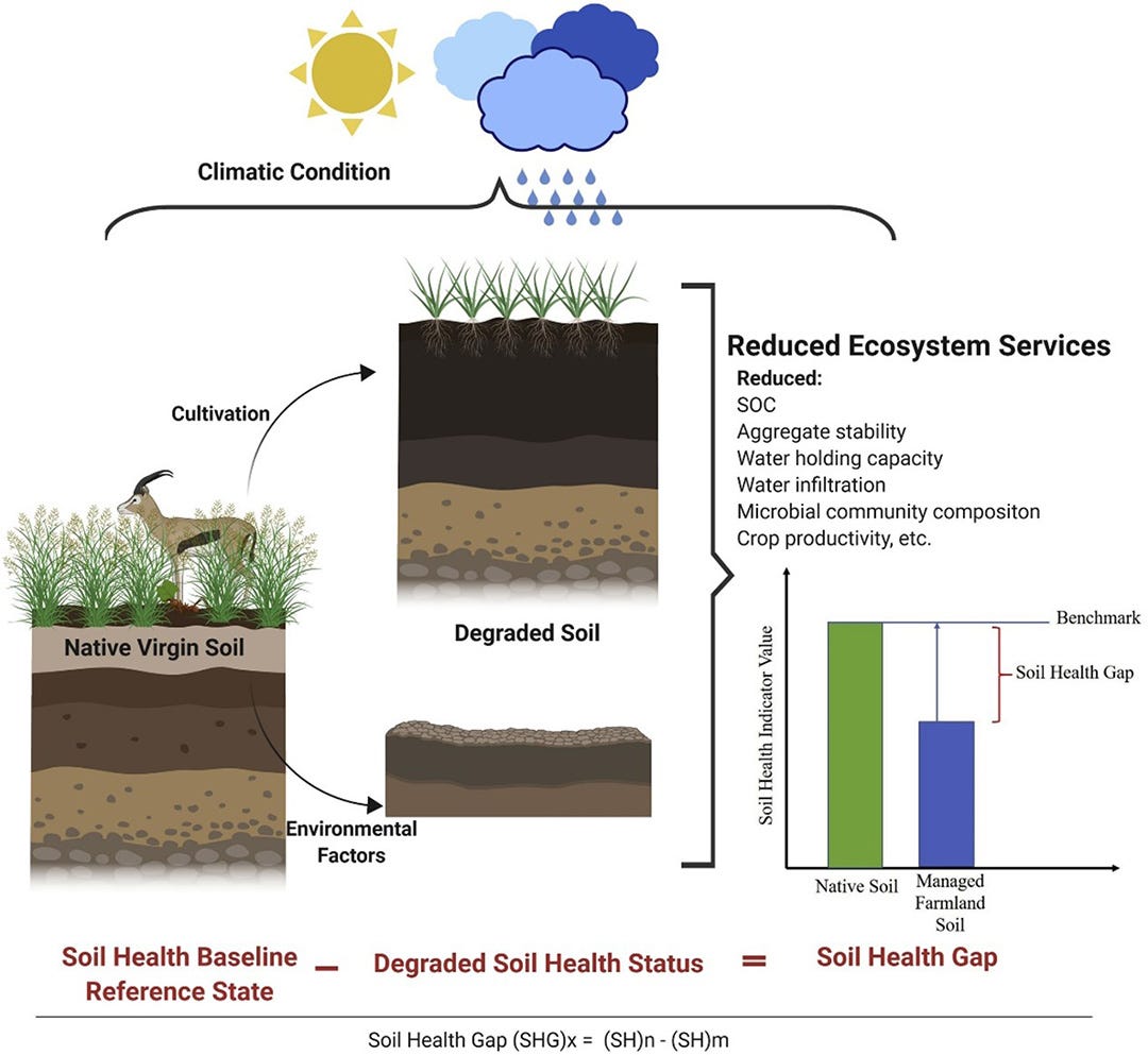 Addressing Soil Health Challenges with Innovative Research | by Saurav ...