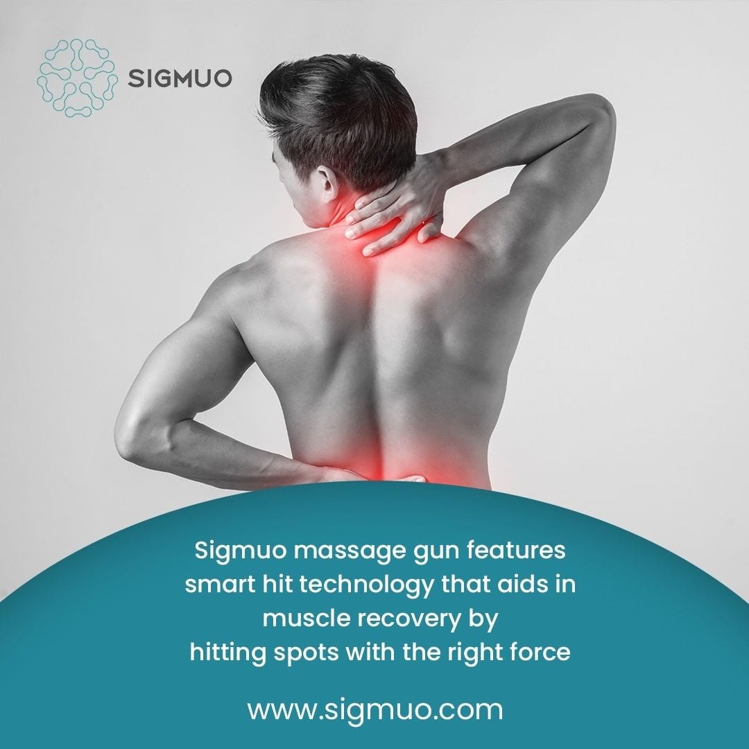 Work the Muscle massagers? Find out all the information you require. by High mart wholesale