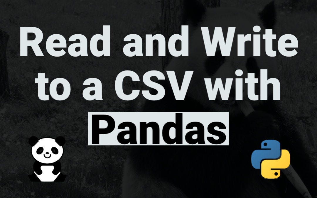 How to read and write to a CSV File using Pandas | by Armindo Cachada ...
