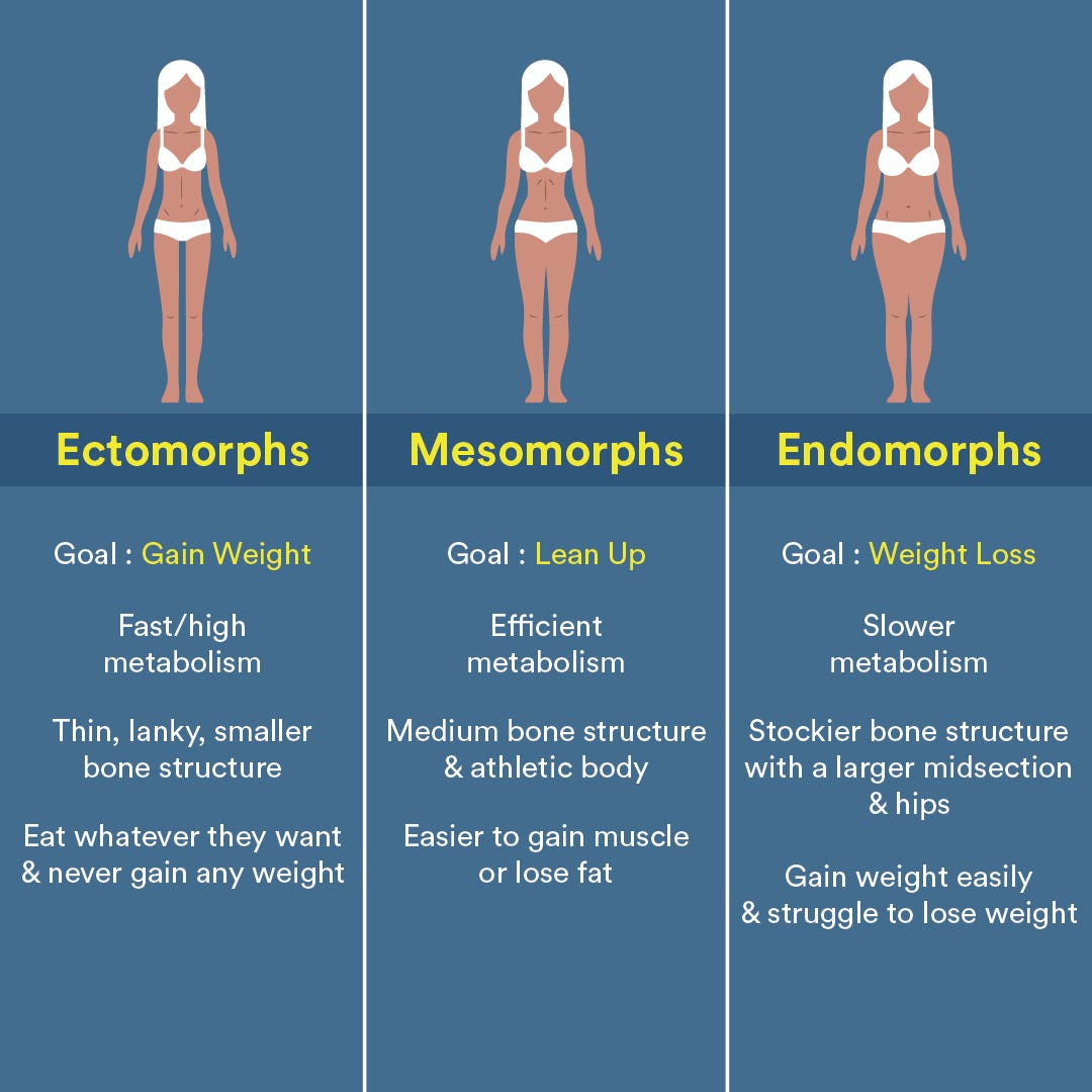 Endomorph Body Type  Endomorph body type, Endomorph, Body types