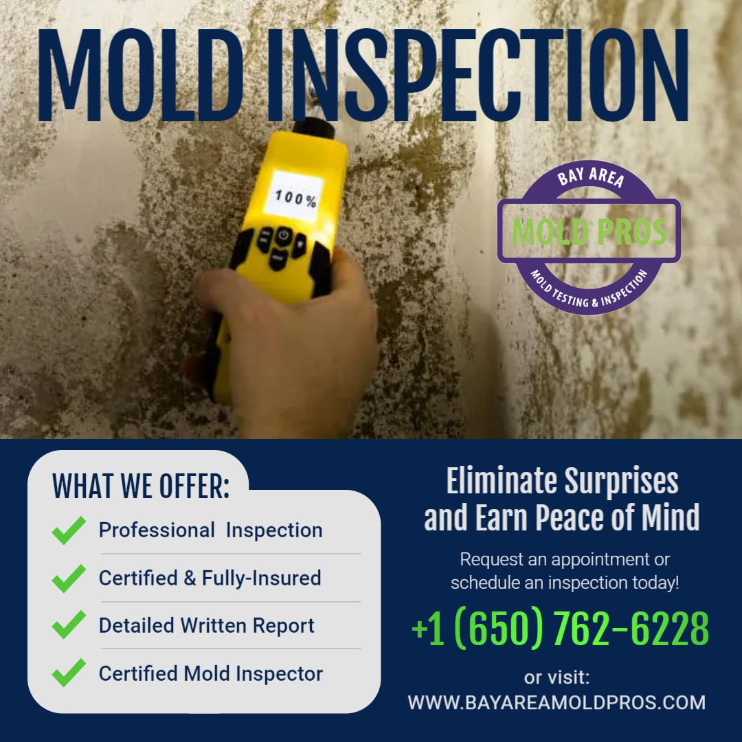 Unveiling The Importance Of Mold Inspection And Testing In San Carlos ...