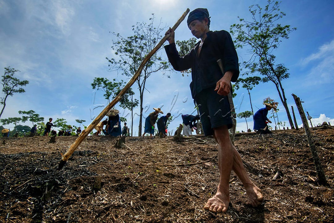 Huma, Bukan Hanya Sebatas Tani