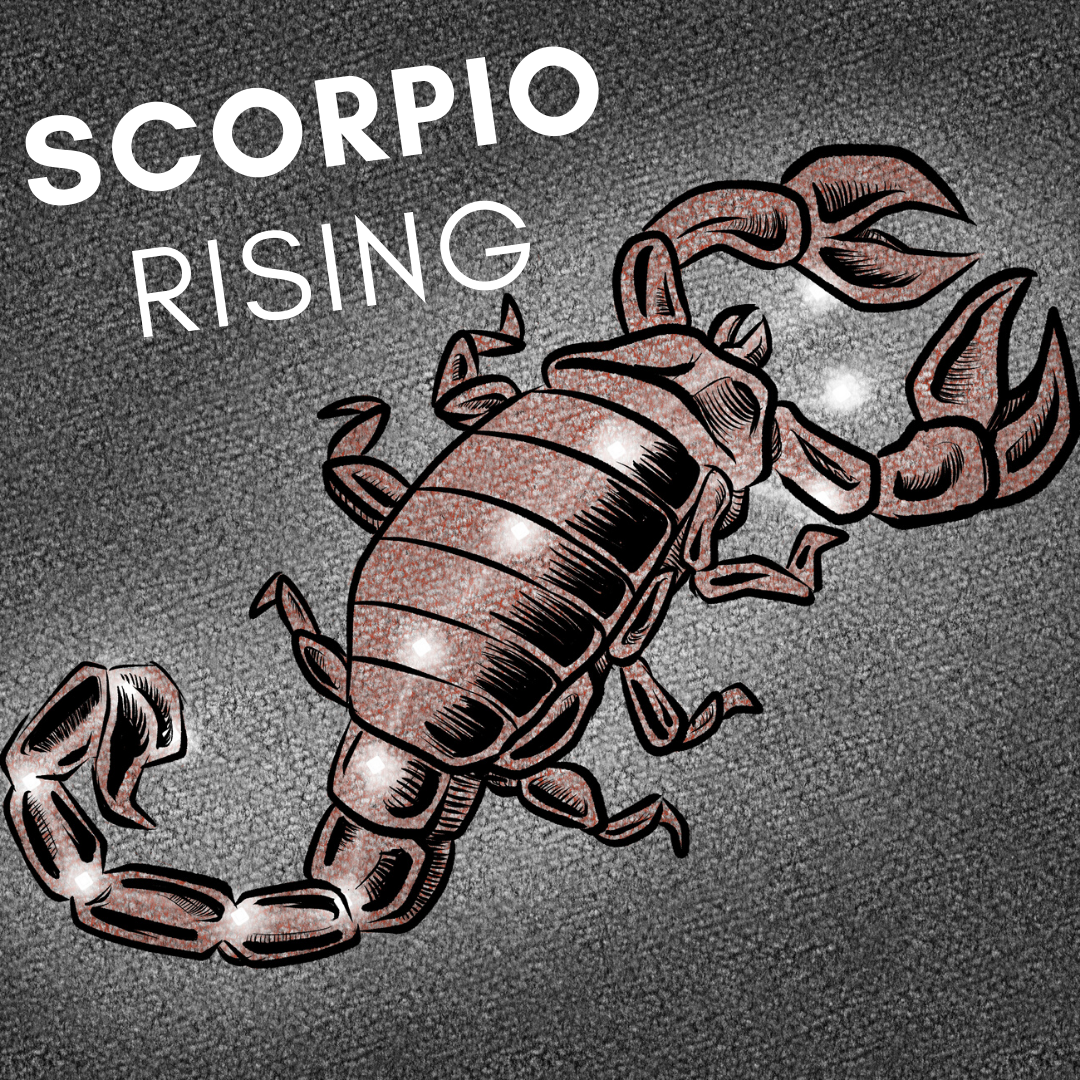 Soul Purpose of a Scorpio Rising. I am going to do a series on each… | by  Adjust Your Sails | Medium