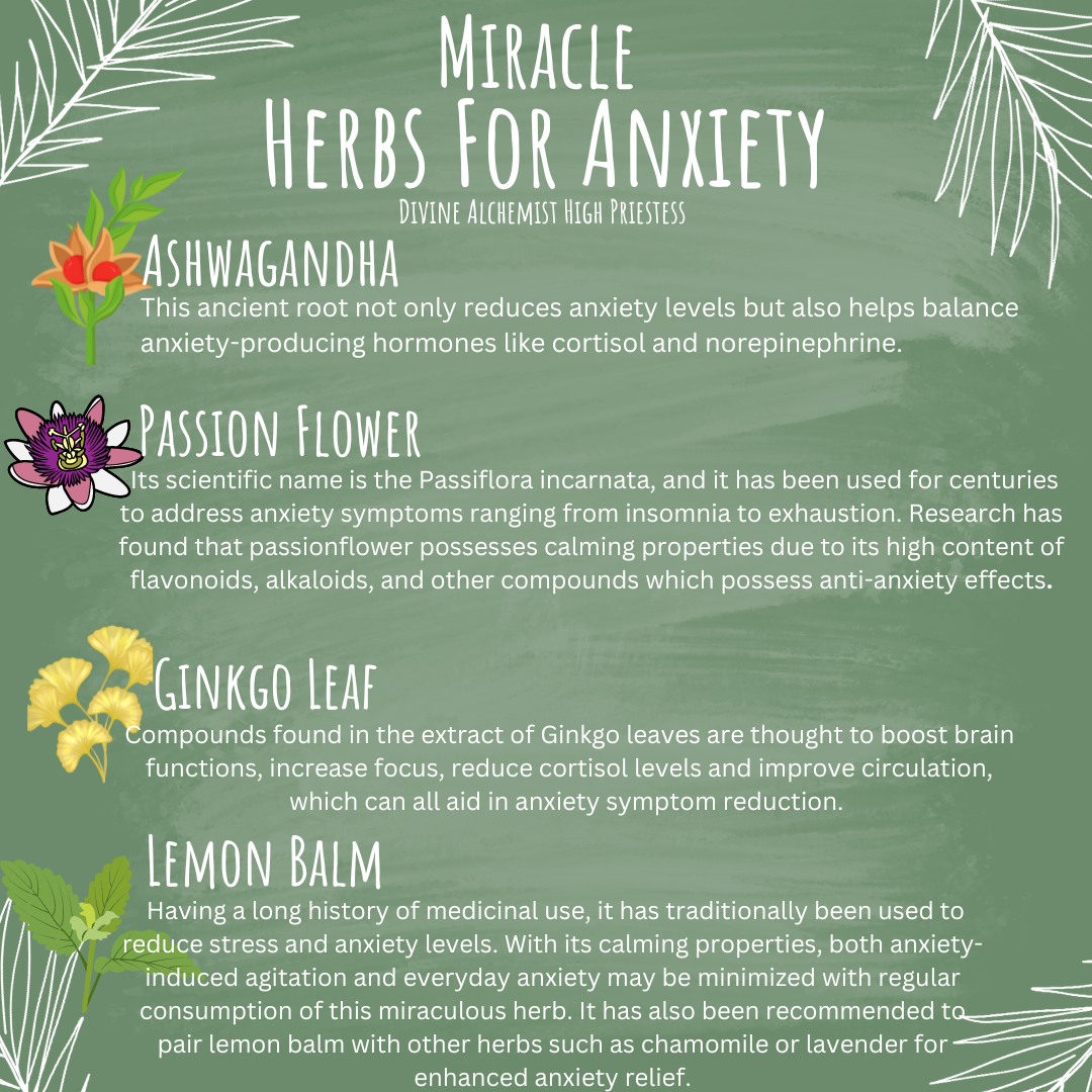 Herbs For Anxiety. Looking for herbs that help with… | by Divine Alchemist  High Priestess | Medium