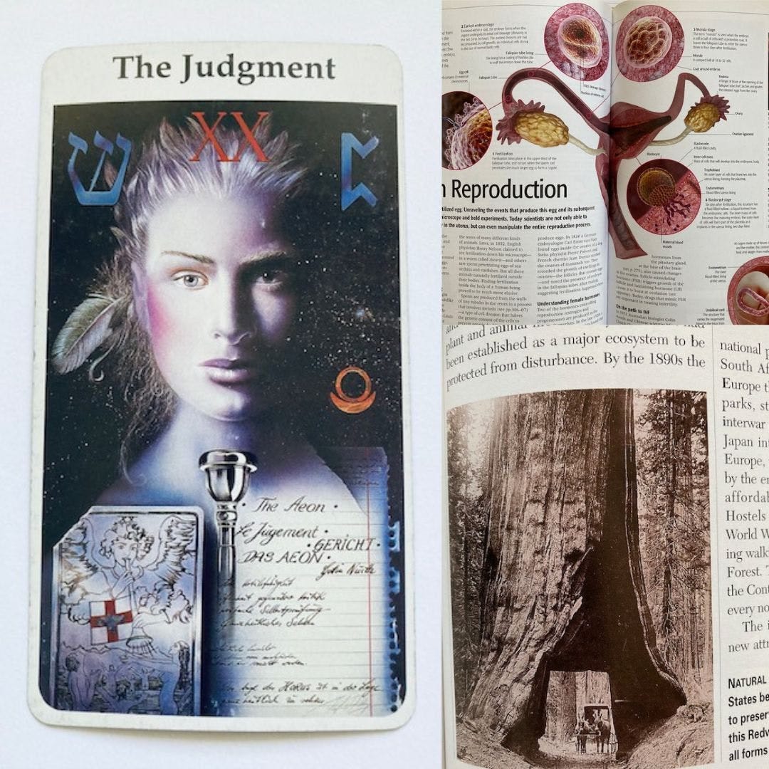Privileging the Unconscious — archetypal rebirth and the Judgment card
