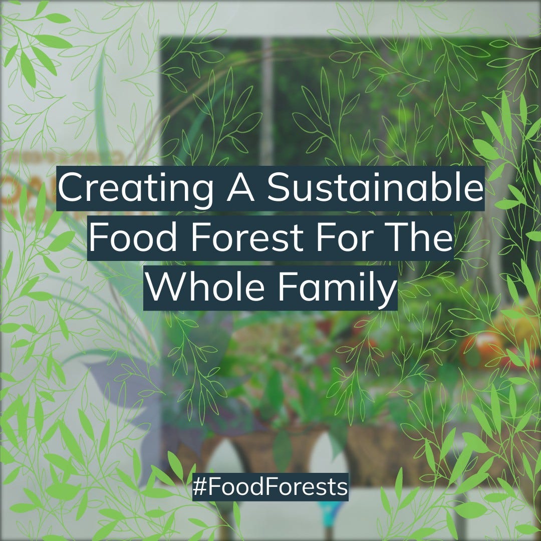 Learn more about biodynamic agriculture and food forest in