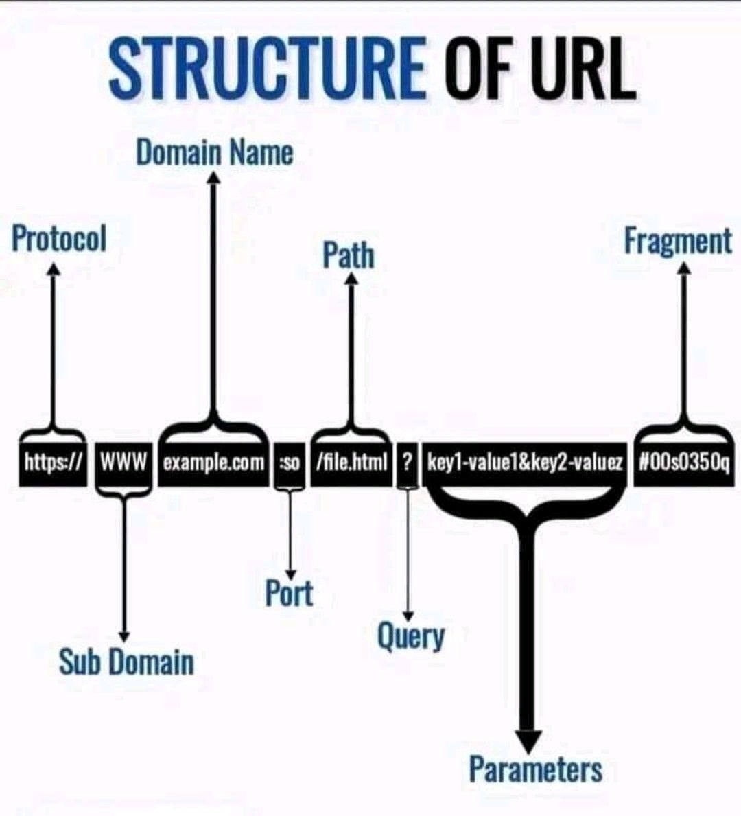 Understanding the Building Blocks of URLs: Exploring the Protocol ...