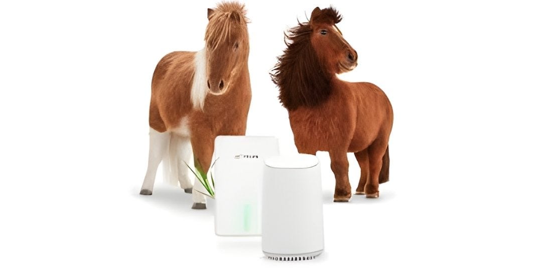 TELUS Internet: Fast, Secure, and Built for Modern Life