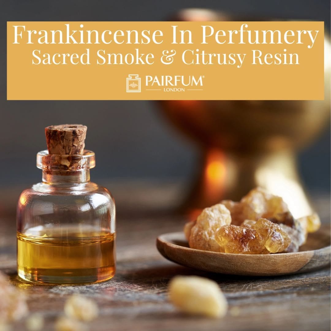 Frankincense In Perfumery: Sacred Smoke & Citrusy Resin