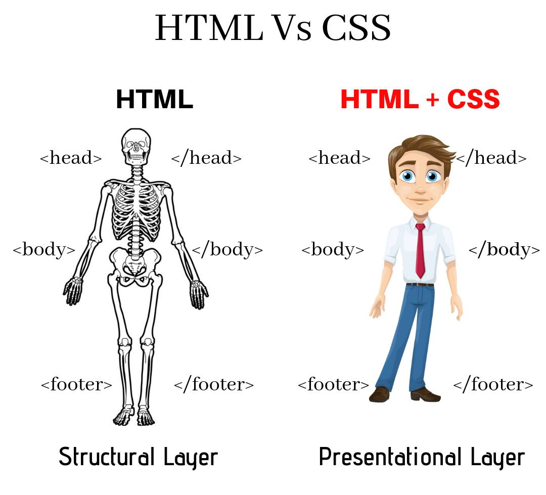 Flex Vs Grid CSS Flex And Grid Are To Advance Features By 