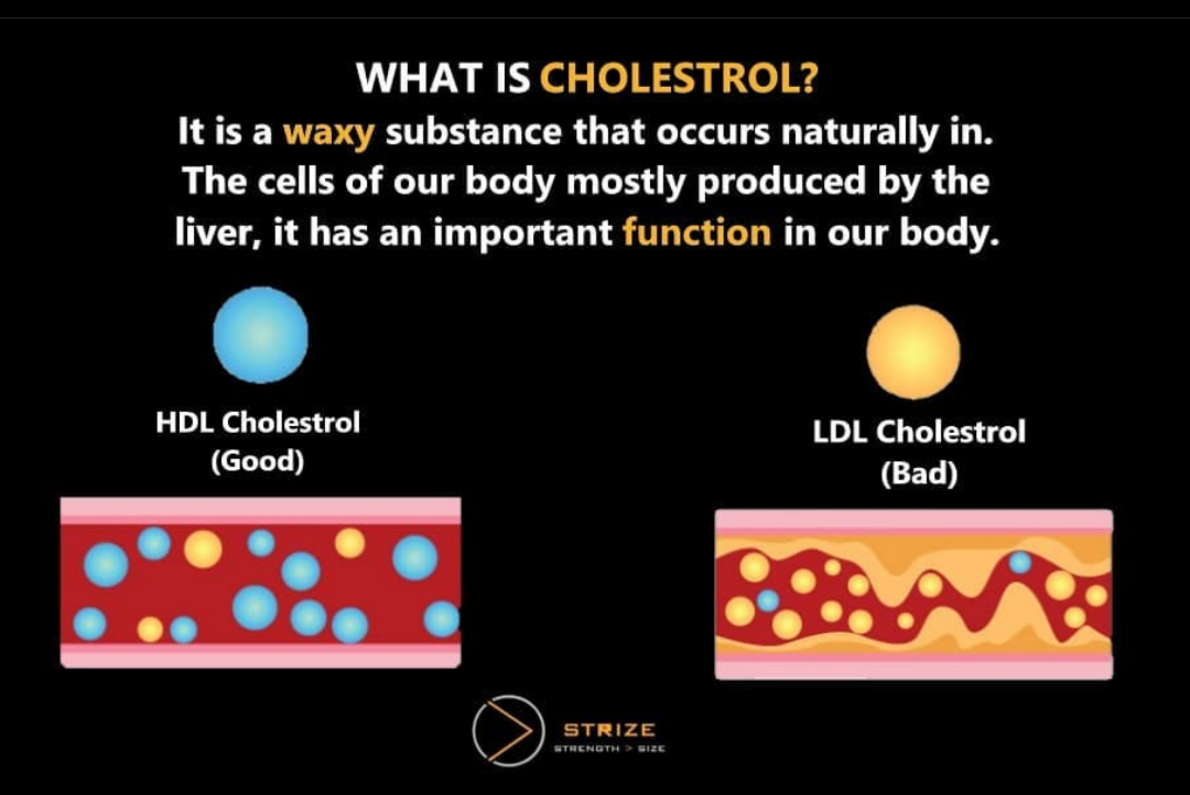 Is Cholesterol Bad? No! It has types! Understand this There are two