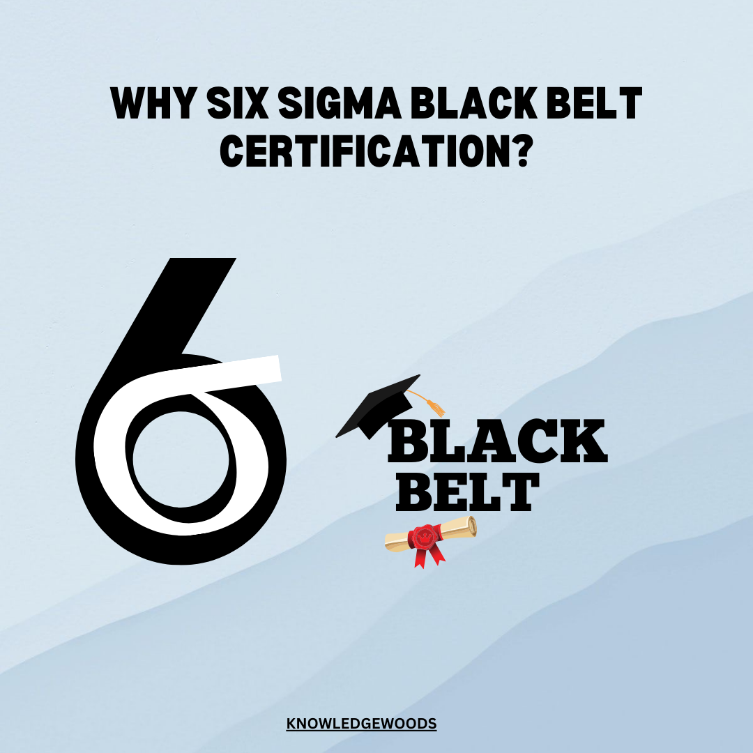 Certified Six Sigma Black Belt Primer Navigating the Path to Six Sigma Excellence: A Deep Dive into the