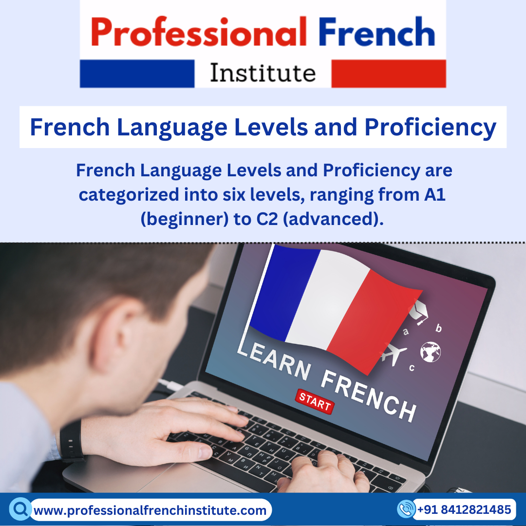 Assessing and Improving Students’ Proficiency in the French Language