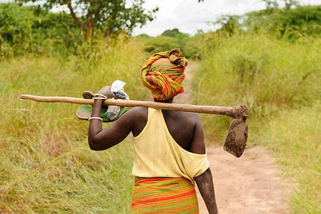 do-we-really-want-to-end-world-hunger-that-s-not-what-our-ai-approach