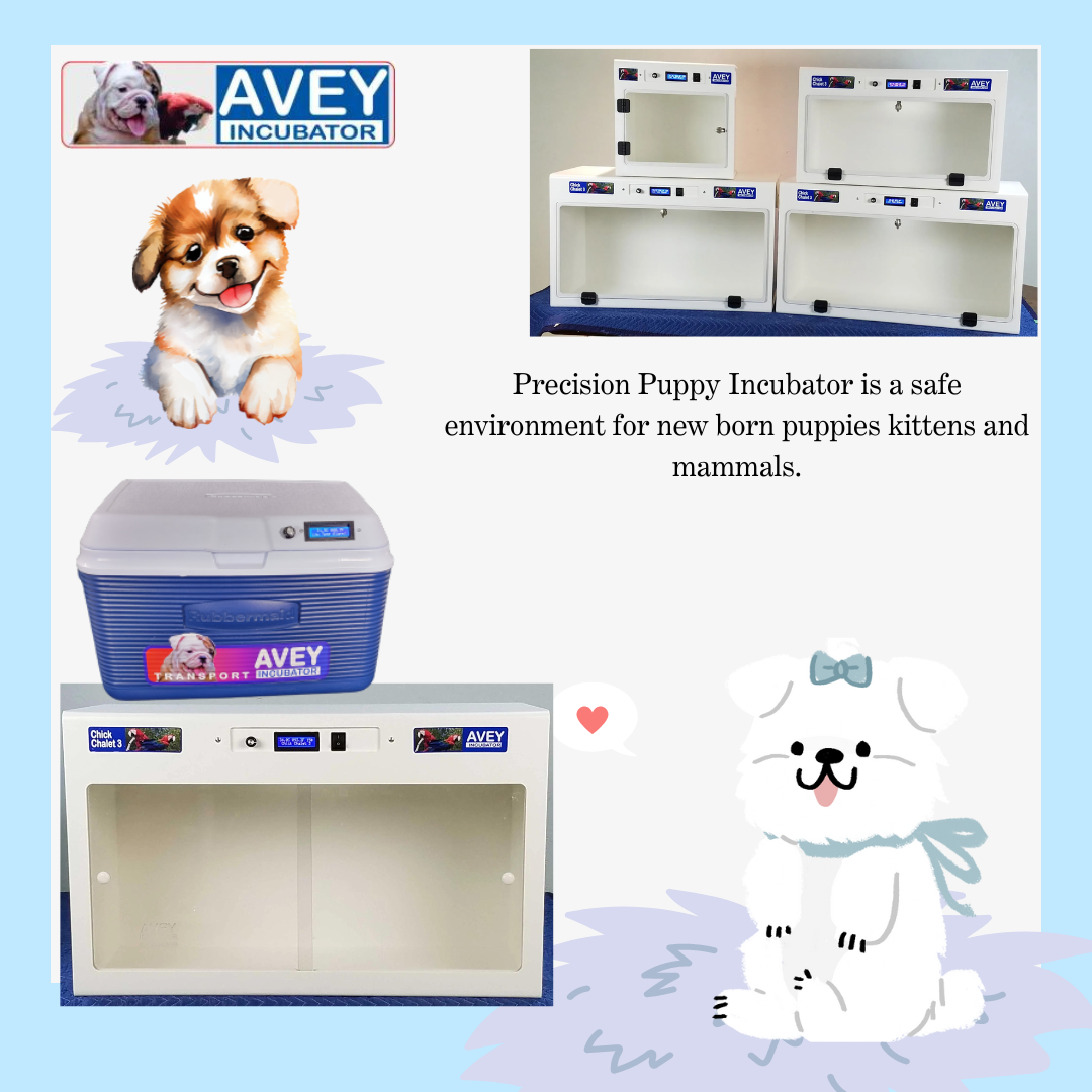 Premium Reptile Incubators Unlock Breeding Success with Precision and