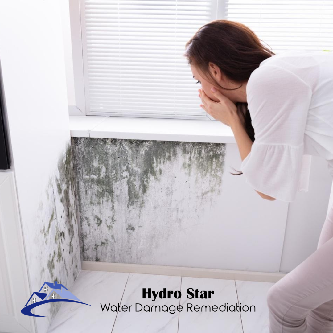 How Do I Identify Hidden Mold in My Home and Eliminate It? by Hydro