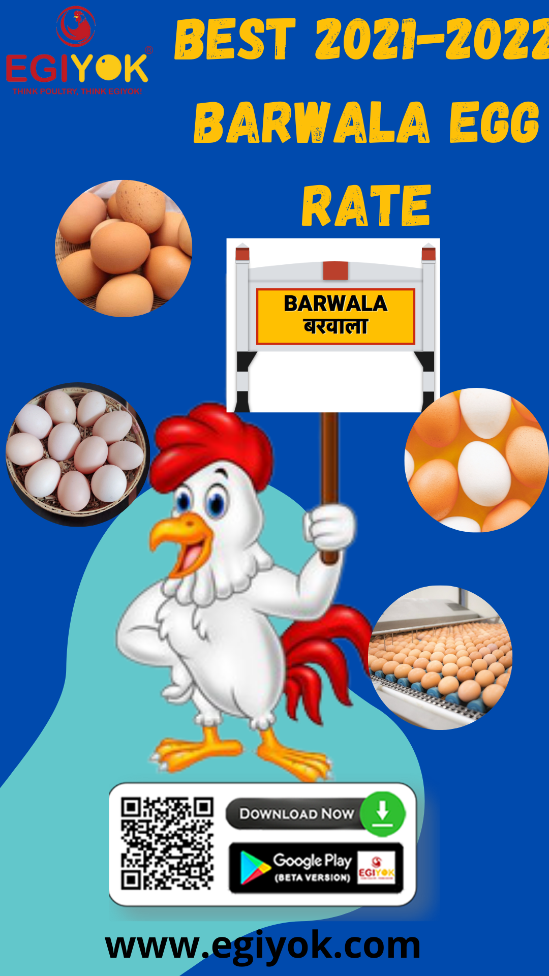 Best 20212022 Barwala Egg Rate Monika Egiyok Medium