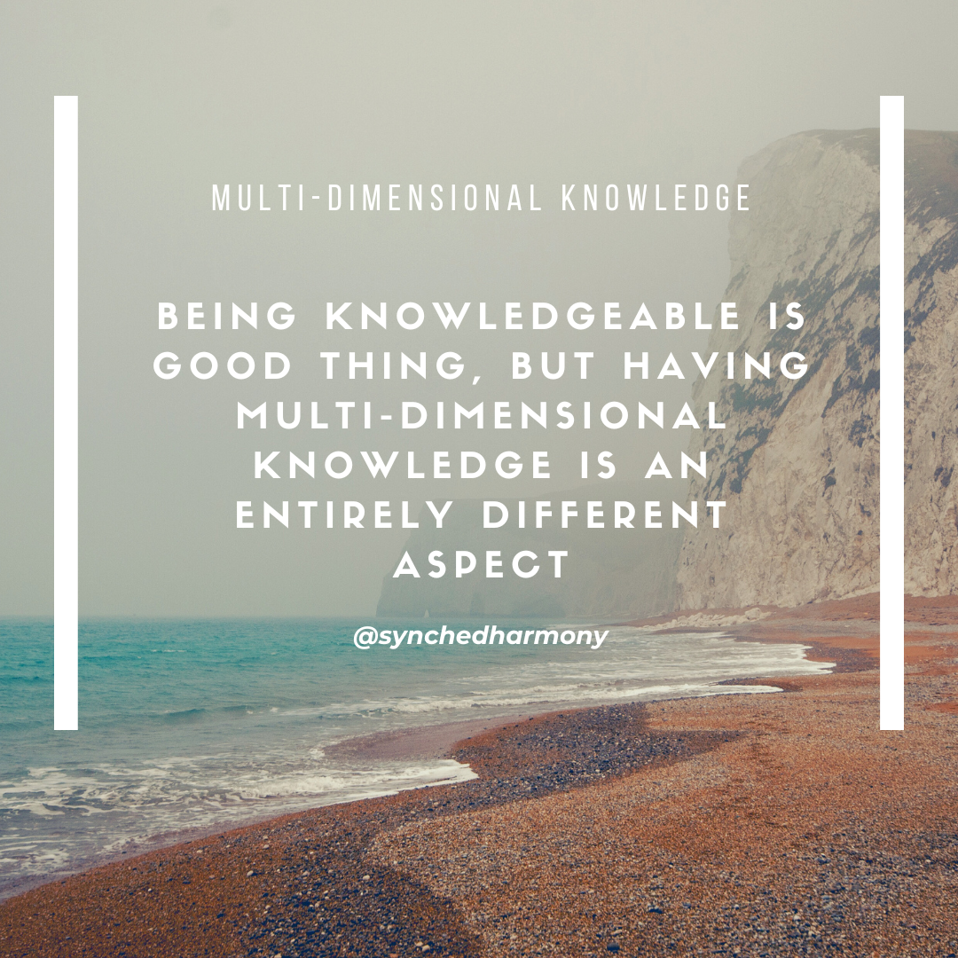 What Does it Mean to be a Multidimensional Thinker by Synched