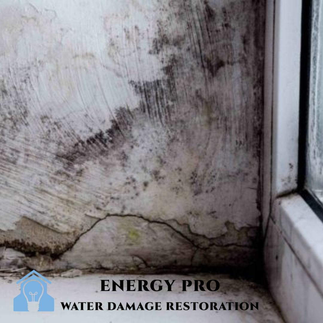 Can Mold Be Safely Removed Without Hiring a Professional? by Energy