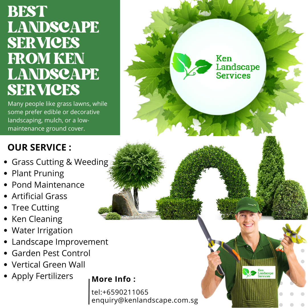 Bachman's Garden Center & Flower Delivery in Minneapolis | Local MN ...