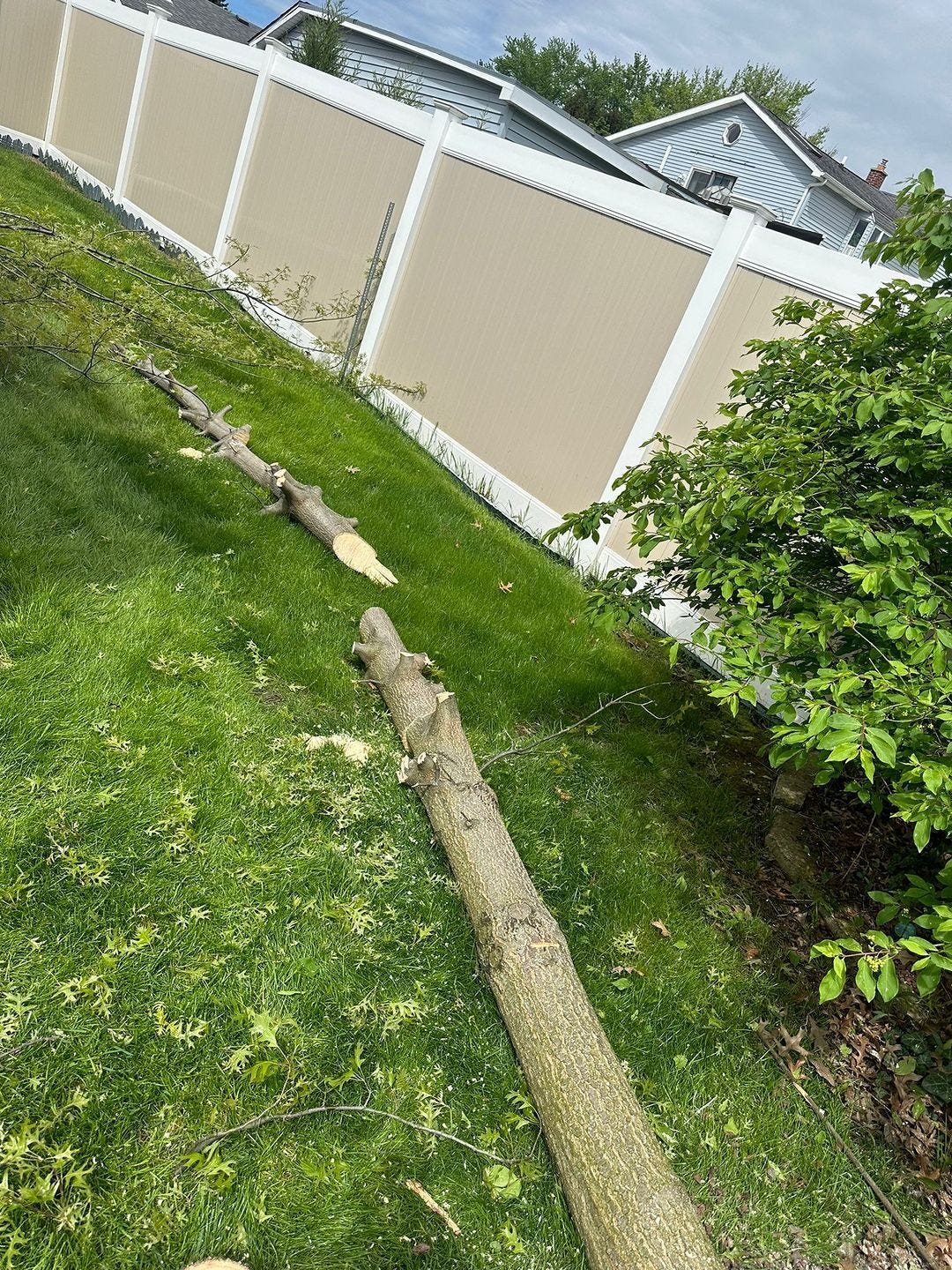 Tree Service Syracuse NY Trust KD Tree Syracuse NY for Expert Care