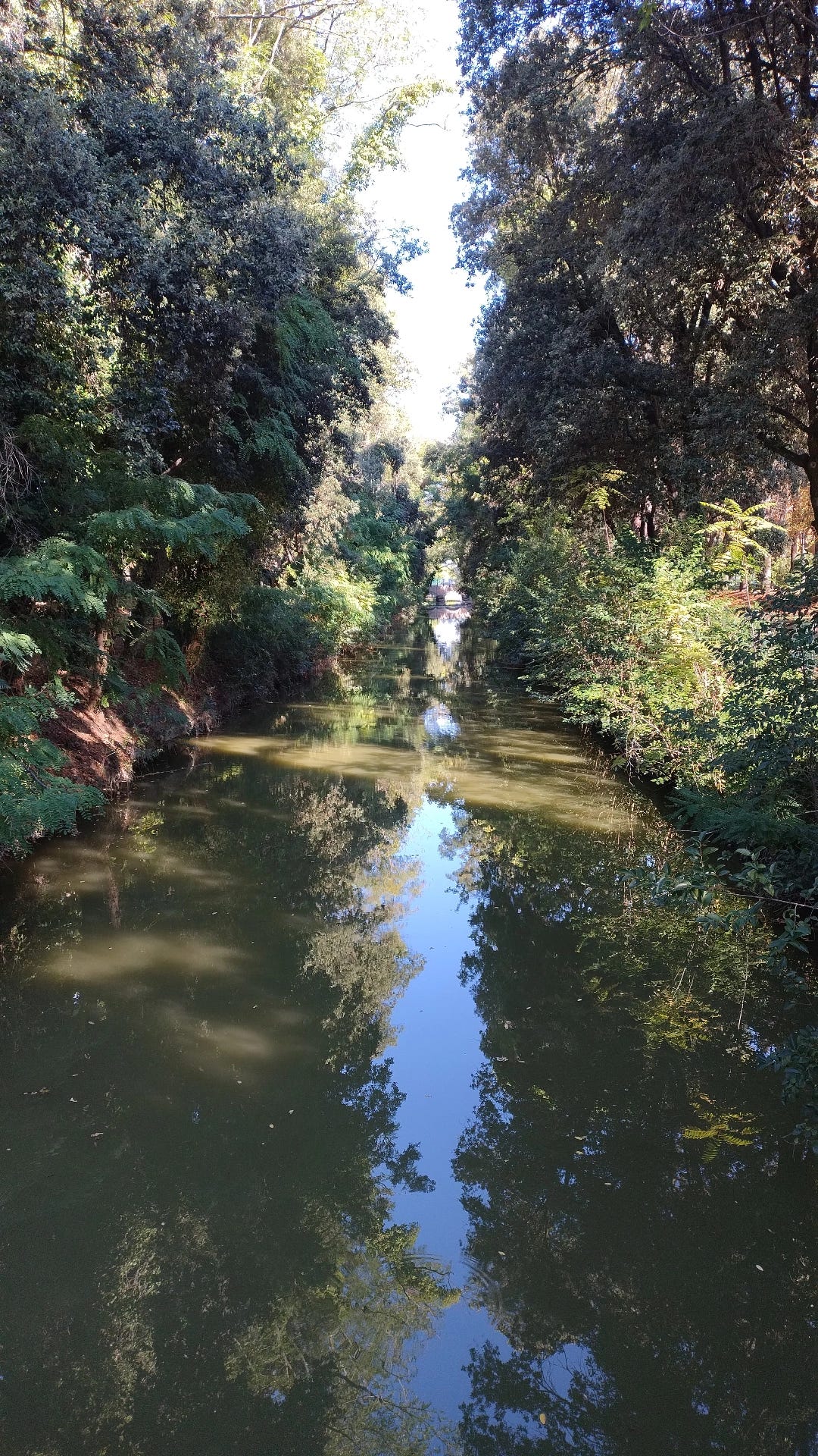 Beauty beyond solitude. Reflections on the Italian poet Giacomo… | by ...