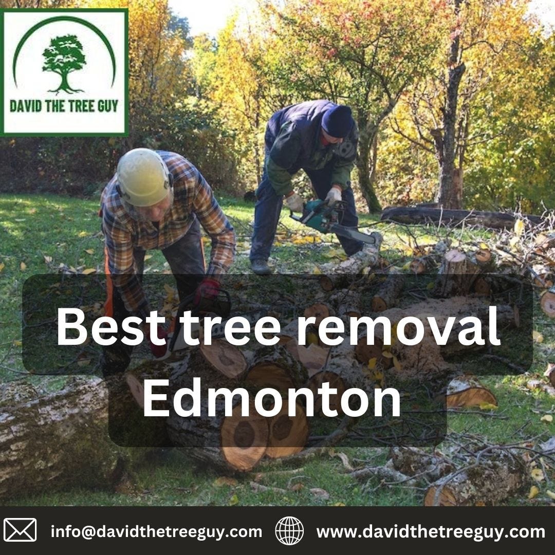 Best tree removal Edmonton David The Tree Guy Medium