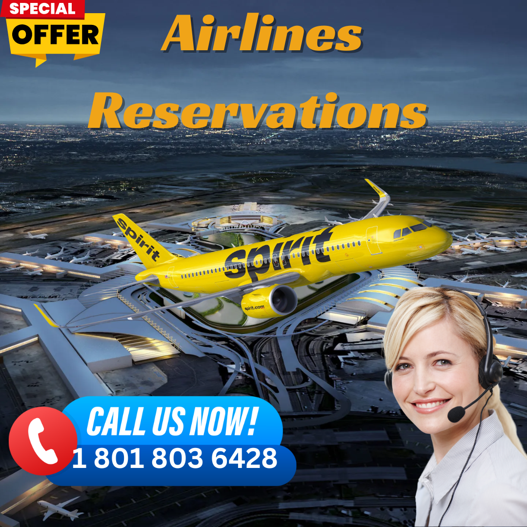 How do I contact 𝟙 𝟠𝟘𝟙 𝟠𝟘𝟛 𝟞𝟜𝟚𝟠 📲 Spirit Airlines from JFK ...