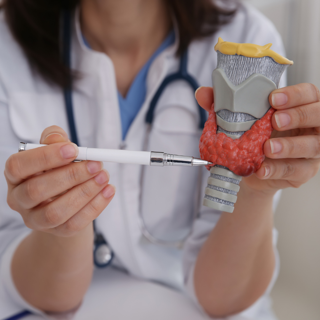 How To Get Your Thyroid To Work Correctly by Sorich Organics Medium