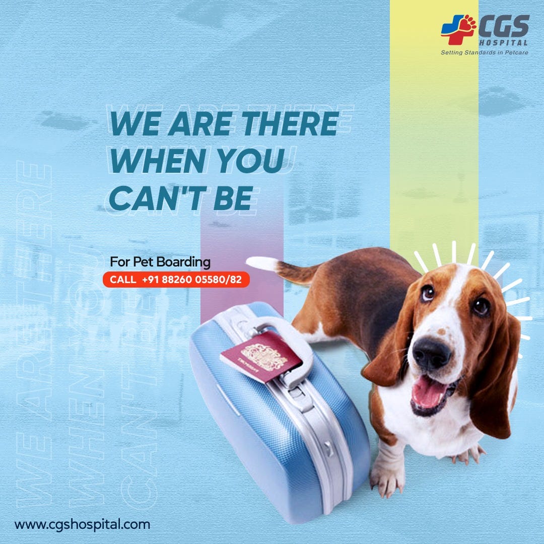 pet boarding delhi CGS Hospital Sarojini Nagar cgs hospital Medium