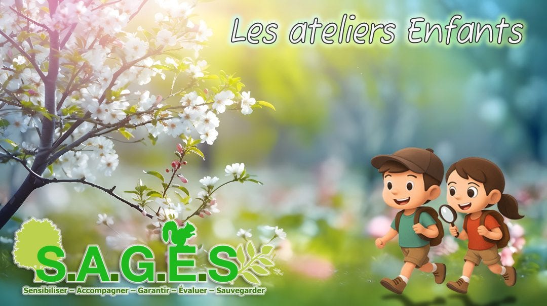 Pôle 1 — Le Cercle des Gardiens du Vivant (6–12ans)