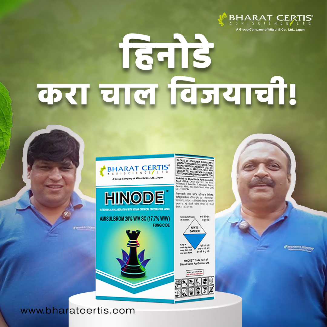 Protect Your Crops from Downy Mildew with Hinode Fungicide