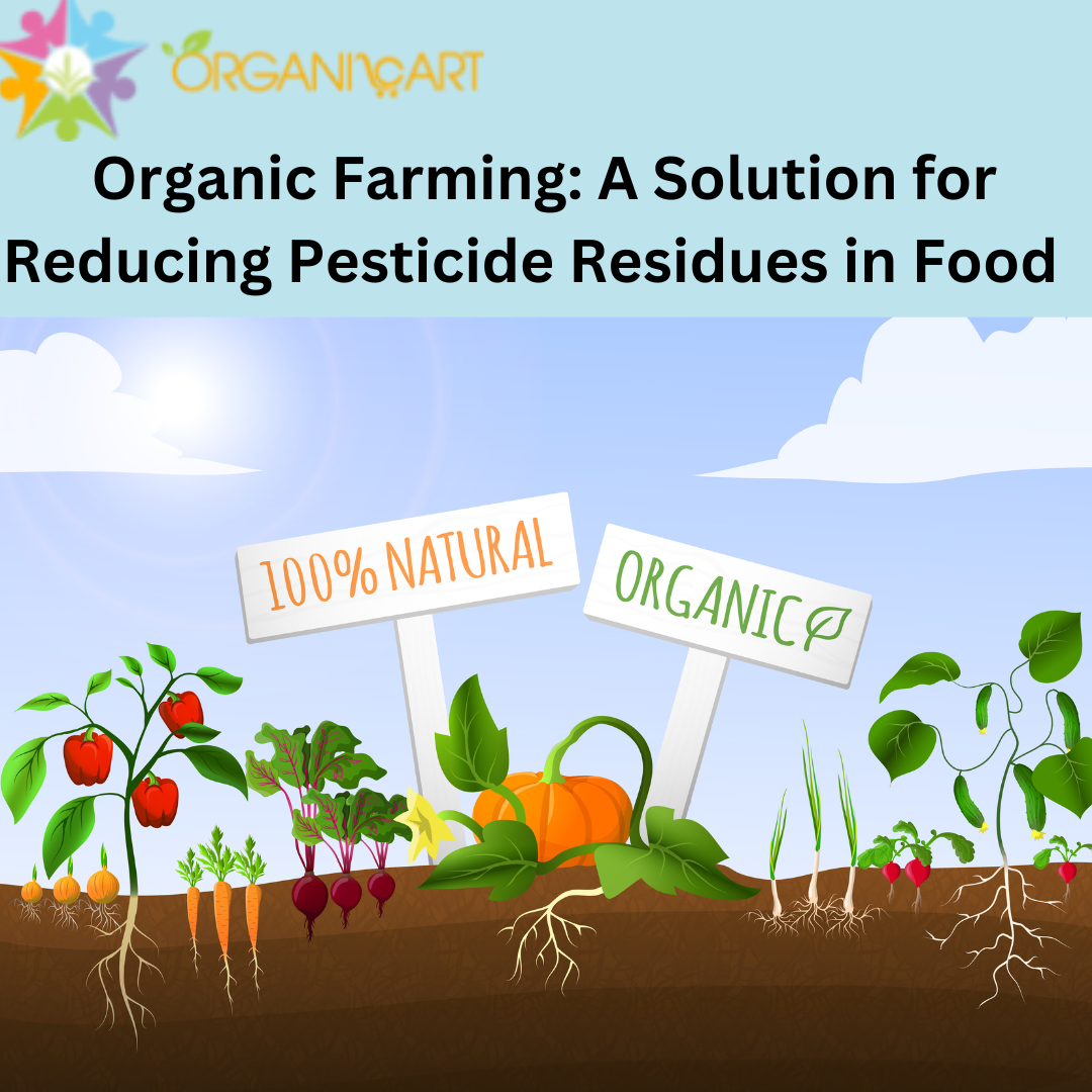 Organic Farming A Solution for Reducing Pesticide Residues in Food