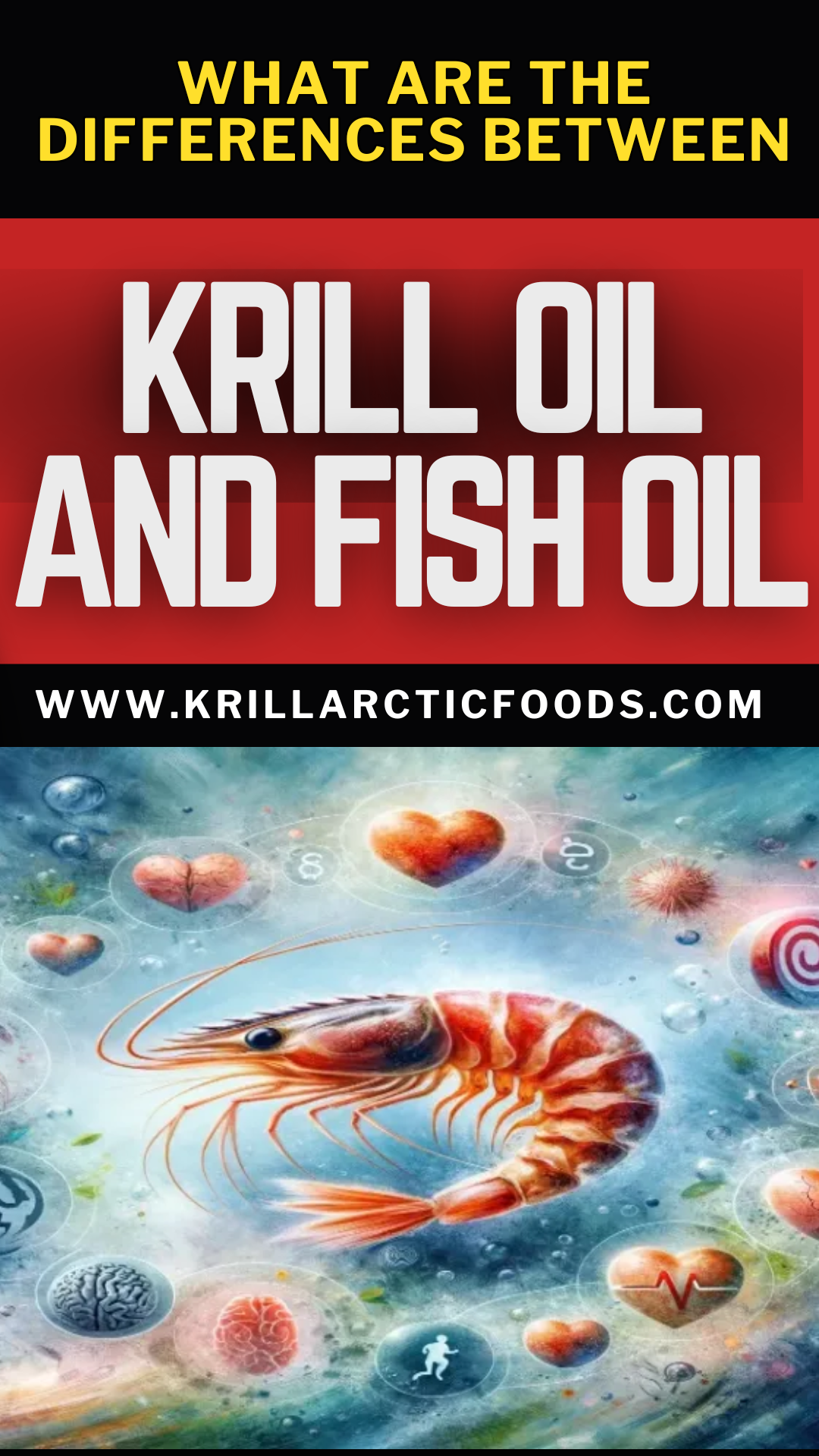 What are the differences between Krill Oil and Fish Oil? - Krill Arctic ...