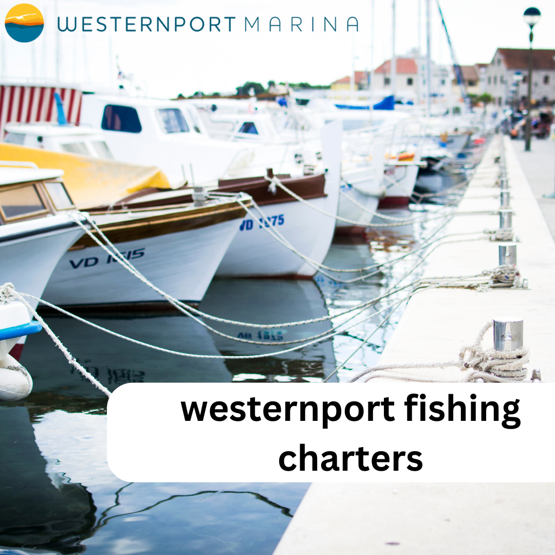 Explore Fishing Adventures with Westernport Marina